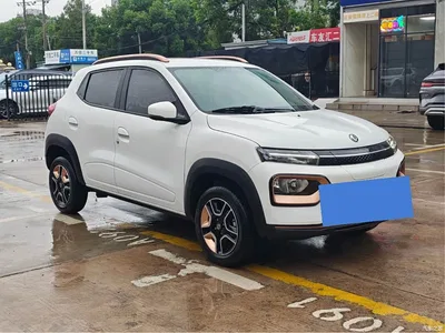 2023 Dongfeng Yipai Dongfeng Nano EX1 PRO Light Breeze Lightning, фото 3, лот 10699457