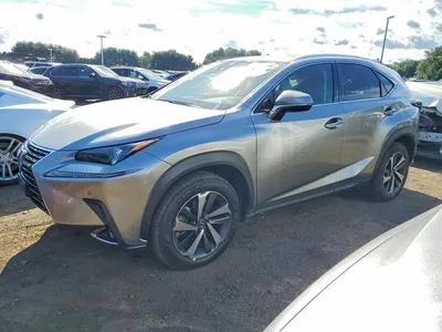 2020 LEXUS NX 300, фото 1, лот 10847935