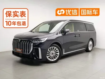 2024 Voyah Auto Voyah Dreamer PHEV Extended Range Premium Edition, фото 1, лот 11197542