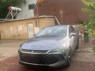 2025 BYD Qin PLUS DM-i Smart Drive 55KM Leader, фото 1, лот 10362944