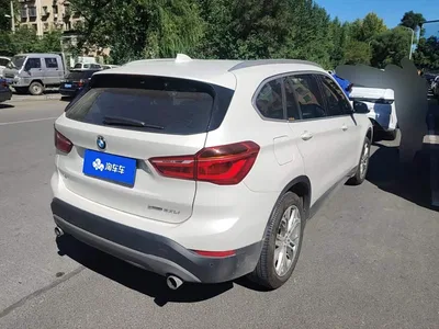 2019 BMW X1 sDrive20Li Leading Model, фото 3, лот 10680306