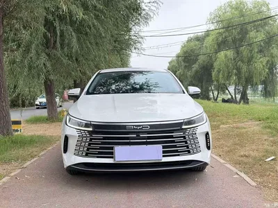 2023 BYD Destroyer 05 Champion Edition DM-i 55KM Luxury, фото 2, лот 10894957