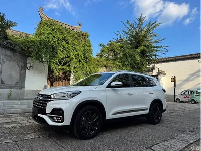 2024 Chery Tiggo 8 230TCI Auto Trendy 5-Seater, фото 1, лот 10333832