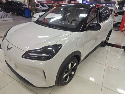 2024 Wuling Motors Wuling Binguo PLUS 401km Range 5-seater, фото 2, лот 10836130