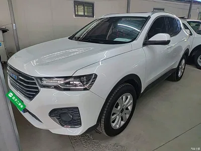 2018 Haval H4 Blue Label 1.5GDIT DCT Trend Edition, фото 1, лот 11137839