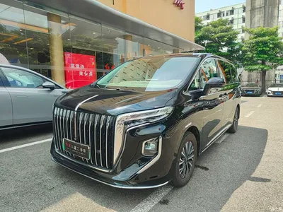 2024 Hongqi HQ9 PHEV Model 2.0T AWD Business Edition, фото 1, лот 10286909