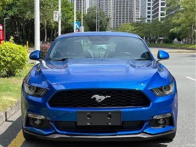 2017 Ford Mustang 2.3T Sport Edition, фото 2, лот 10281063