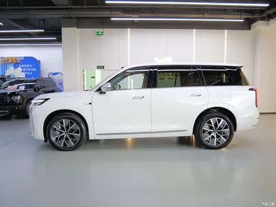 2025 GAC Trumpchi Trumpchi Vision S9 1.5T Hybrid Premium, фото 3, лот 10414907