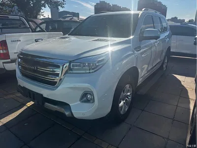 2020 Haval H9 2.0T Gasoline 4WD Premium 5-Seater, фото 1, лот 10416391