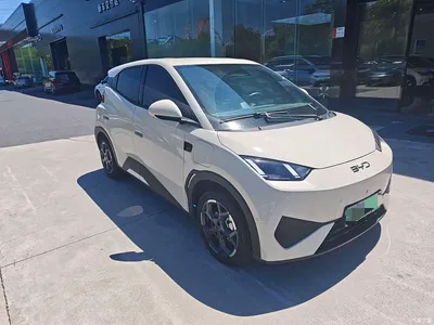 2025 BYD Seagull Smart Drive Edition 305km Freedom Version, фото 3, лот 10257004