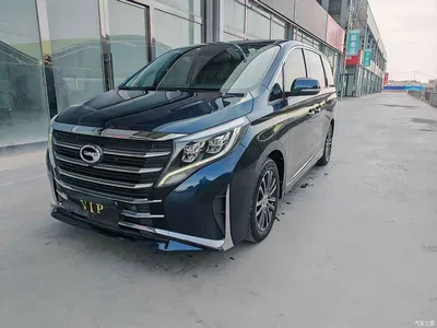 2021 GAC Trumpchi Trumpchi M8 Leading Show Series 390T Prestige Edition, фото 1, лот 11066996
