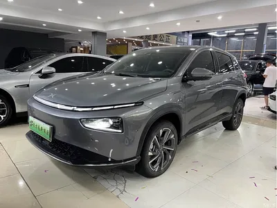 2021 XPeng G3 G3i 460N, фото 1, лот 10404353