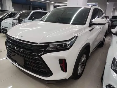 2022 Dongfeng Fengguang 580 1.5T Auto Luxury Model, фото 2, лот 10821898