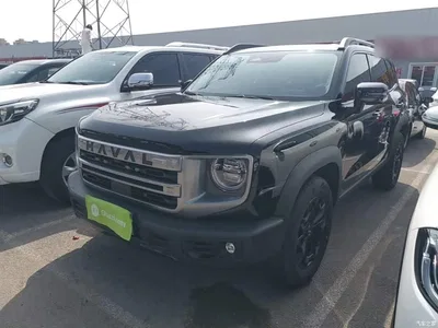 2024 Haval Big Dog 2.0T DCT Chinese Rural Dog Edition, фото 2, лот 10361247