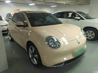 2023 Ora Good Cat 401km Standard Range Premium LFP, фото 4, лот 10330468