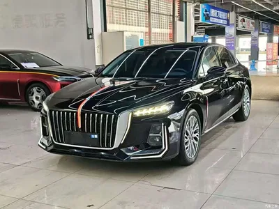 2023 Hongqi H5 2.0T Auto Smart Connect Flag Comfort, фото 1, лот 10288415
