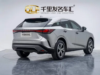 2025 Lexus RX 300 4WD Premium Edition, фото 3, лот 10438116