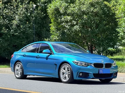 2017 BMW 4 Series 425i Gran Coupe Leading M Sport Package, фото 3, лот 10413260