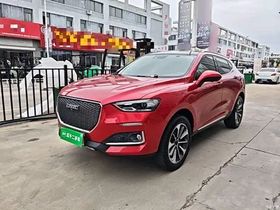 2019 Haval F5 National Trend Edition 1.5T iFashion China VI, фото 2, лот 10283833