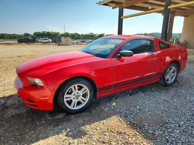 2013 FORD MUSTANG, фото 1, лот 10574417