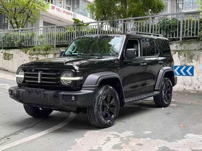 2021 Tank 300 Off-road Version 2.0T Conqueror, фото 1, лот 10887473