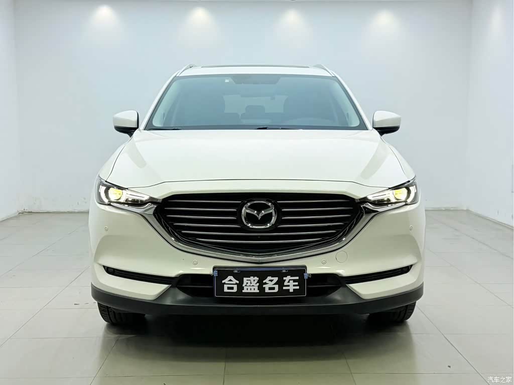 2019 Mazda CX-8 2.5L AWD Premium Model, фото 2, лот 10327006