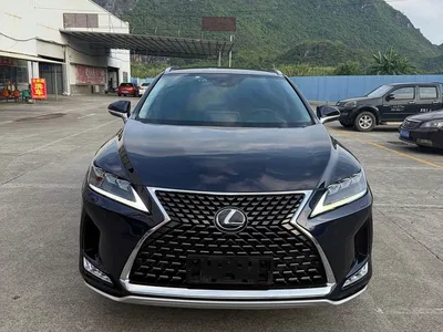 2020 Lexus RX 300 4WD Elegance Edition China VI, фото 2, лот 10314351