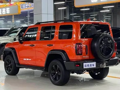 2021 Tank 300 Off-road Version 2.0T Conqueror, фото 3, лот 10344765