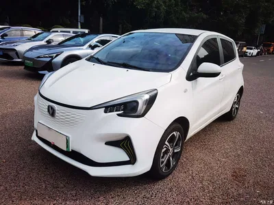 2022 Changan Benben E-Star Appreciation Edition Colorful LFP, фото 1, лот 11570796