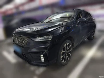 2020 WEY VV7 2.0T Luxury, фото 1, лот 10388869