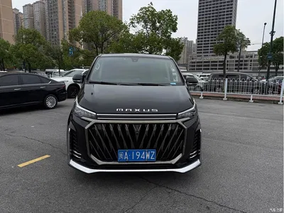 2023 SAIC Maxus Maxus G20 PLUS 2.0T Diesel Automatic Luxury Edition, фото 1, лот 11160755