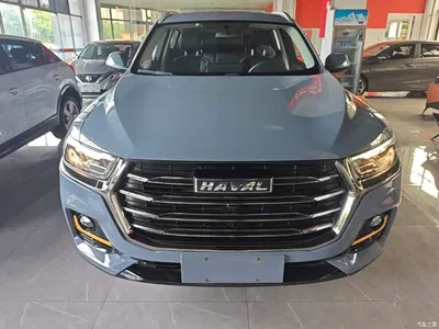 2021 Haval H6 National Trend Edition 1.5T Automatic Urban Edition, фото 3, лот 11502035