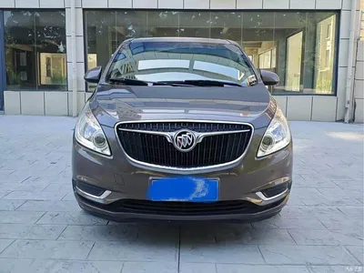 2017 Buick GL8 25S Comfort China V, фото 2, лот 11134844