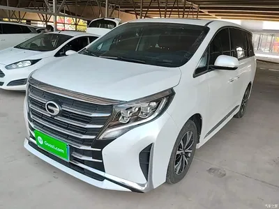 2024 GAC Trumpchi Trumpchi M8 Leadershow Series 390T Luxury Edition, фото 2, лот 10481916