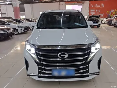 2021 GAC Trumpchi Trumpchi M8 Leading Show Series 390T Prestige Edition, фото 3, лот 10423920