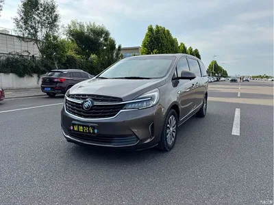2020 Buick GL8, фото 1, лот 10243701