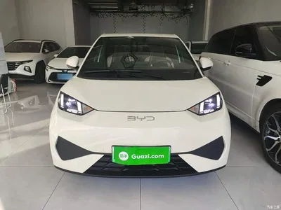 2025 BYD Seagull Smart Drive Edition 405km Free Edition, фото 3, лот 11134748