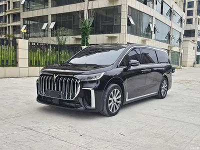 2024 Voyah Auto Voyah Dreamer PHEV Extended Range Premium Edition, фото 1, лот 10358445