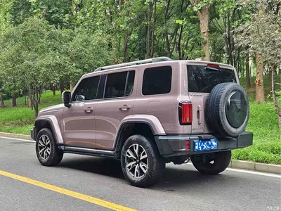 2023 Tank 300 Urban Edition 2.0T Very Stylish, фото 4, лот 10343976