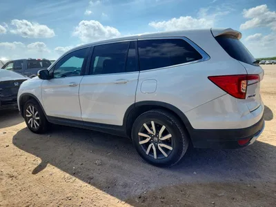 2020 HONDA PILOT EXL, фото 2, лот 11240567