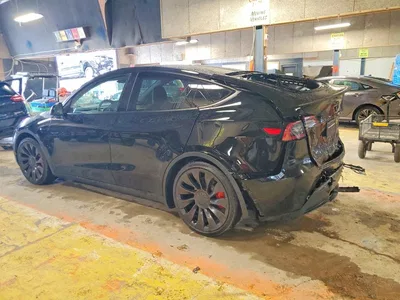 2023 TESLA MODEL Y, фото 2, лот 10853809
