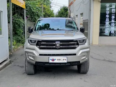 2024 Tank 400 New Energy Hi4-T Off-Road Edition, фото 2, лот 10344134