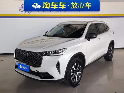 2021 Haval H6 3rd Gen 1.5T Auto 2WD Pro, фото 1, лот 10297818