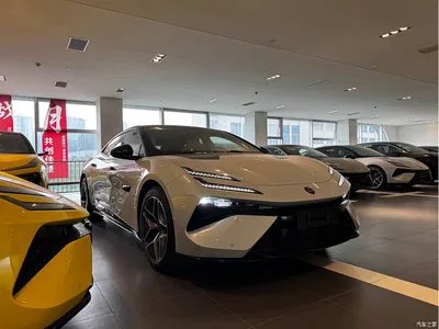 2025 Lotus Cars EMEYA Blossom 600 Luxury, фото 3, лот 11155368