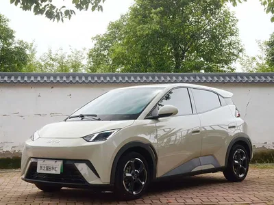 2024 BYD Seagull Glory Edition 405km Soaring Edition, фото 1, лот 10254478