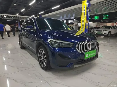 2020 BMW X1 sDrive25Li Leading Model, фото 4, лот 10812934