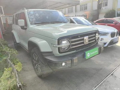 2021 Tank 300 Urban Edition 2.0T Stylish, фото 4, лот 10475996