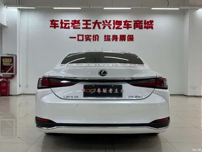2021 Lexus ES 200 Excellence Edition, фото 4, лот 10313686