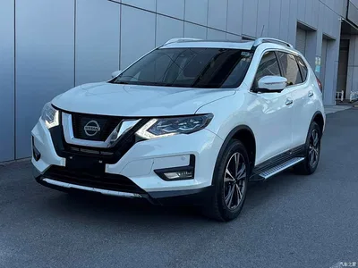 2020 Nissan X-Trail 2.5L XL ITS CVT 4WD Luxury Navigation Edition, фото 1, лот 10765330