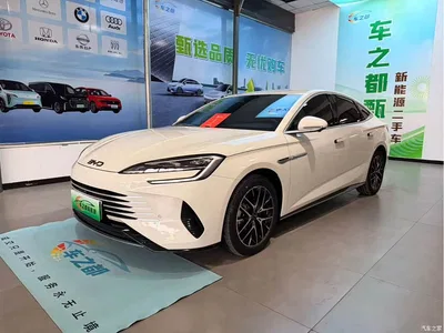 2025 BYD Seal 07 DM-i Model DM-i 1.5L 125km Elite, фото 1, лот 10826135